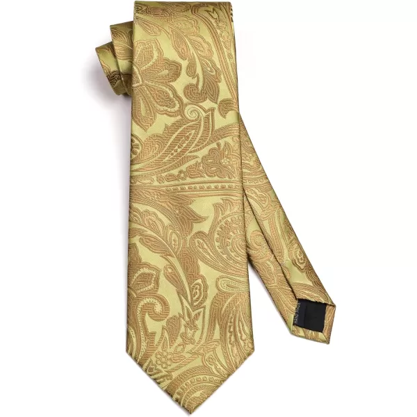 HISDERN Ties for Men Paisley Floral Tie Handkerchief Classic Woven Business Formal Necktie and Pocket Square Set Wedding
