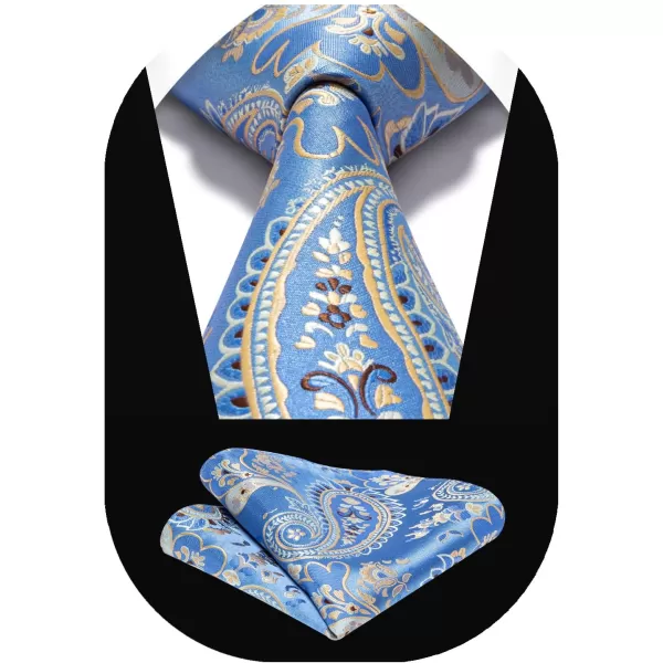 HISDERN Ties for Men Paisley Floral Tie Handkerchief Classic Woven Business Formal Necktie and Pocket Square Set Wedding