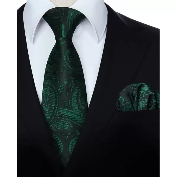 HISDERN Ties for Men Paisley Floral Tie Handkerchief Classic Woven Business Formal Necktie and Pocket Square Set Wedding