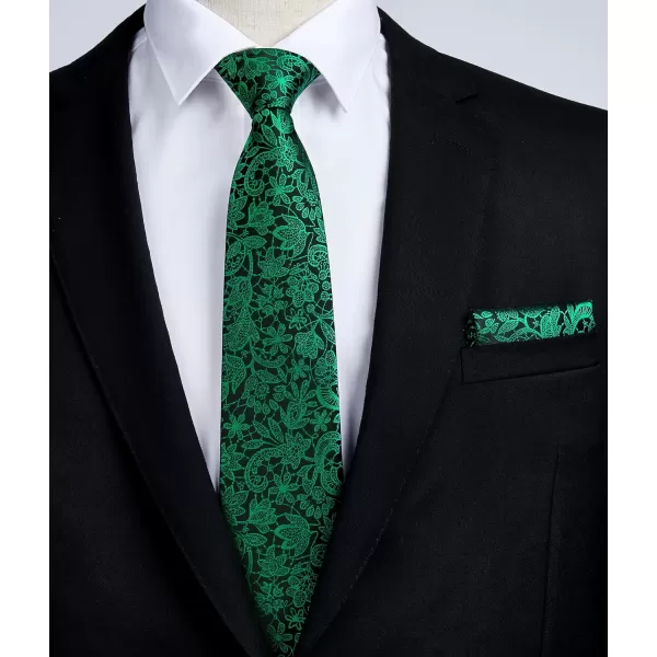 HISDERN Ties for Men Paisley Floral Tie Handkerchief Classic Woven Business Formal Necktie and Pocket Square Set Wedding