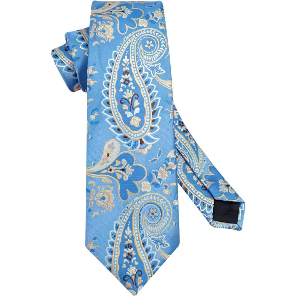 HISDERN Ties for Men Paisley Floral Tie Handkerchief Classic Woven Business Formal Necktie and Pocket Square Set Wedding