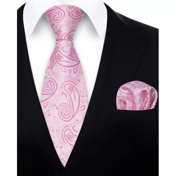HISDERN Ties for Men Paisley Floral Tie Handkerchief Classic Woven Business Formal Necktie and Pocket Square Set Wedding