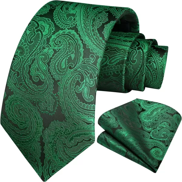 HISDERN Ties for Men Paisley Floral Tie Handkerchief Classic Woven Business Formal Necktie and Pocket Square Set Wedding
