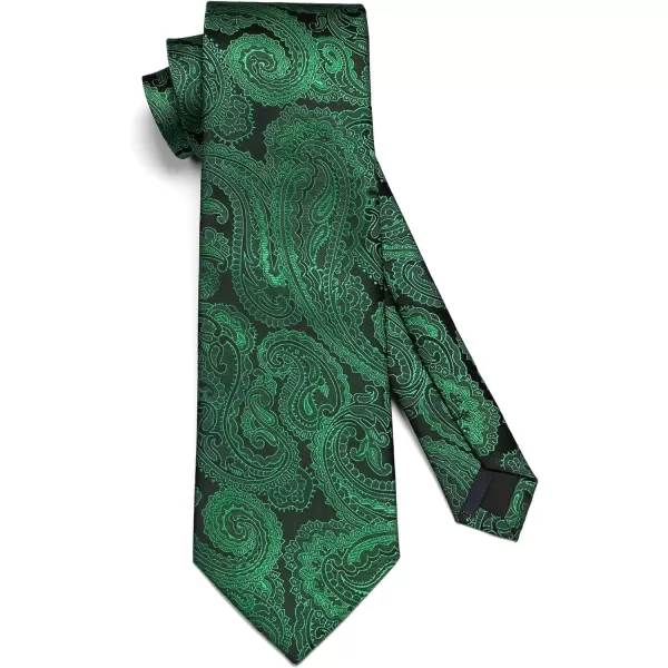 HISDERN Ties for Men Paisley Floral Tie Handkerchief Classic Woven Business Formal Necktie and Pocket Square Set Wedding