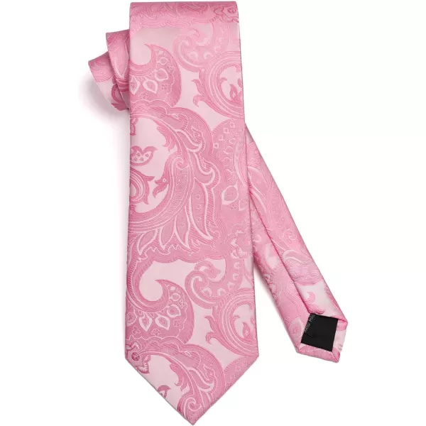 HISDERN Ties for Men Paisley Floral Tie Handkerchief Classic Woven Business Formal Necktie and Pocket Square Set Wedding
