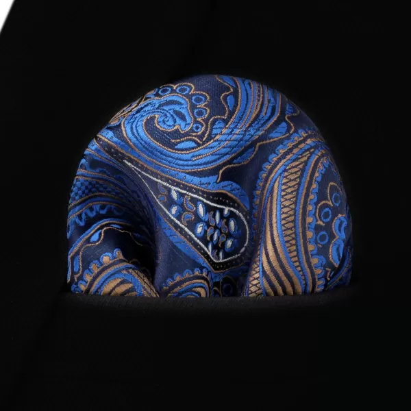 HISDERN Ties for Men Paisley Floral Tie Handkerchief Classic Woven Business Formal Necktie and Pocket Square Set Wedding