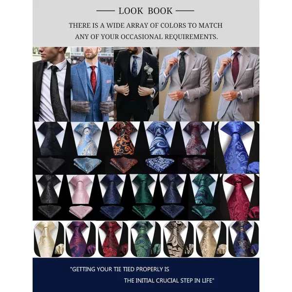 HISDERN Ties for Men Paisley Floral Tie Handkerchief Classic Woven Business Formal Necktie and Pocket Square Set Wedding