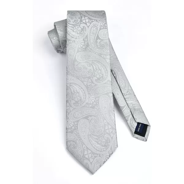 HISDERN Ties for Men Paisley Floral Tie Handkerchief Classic Woven Business Formal Necktie and Pocket Square Set Wedding