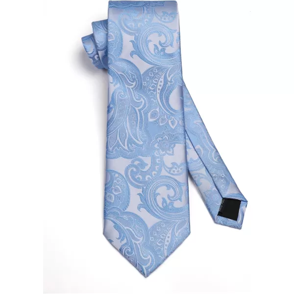 HISDERN Ties for Men Paisley Floral Tie Handkerchief Classic Woven Business Formal Necktie and Pocket Square Set Wedding