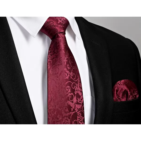 HISDERN Ties for Men Paisley Floral Tie Handkerchief Classic Woven Business Formal Necktie and Pocket Square Set Wedding