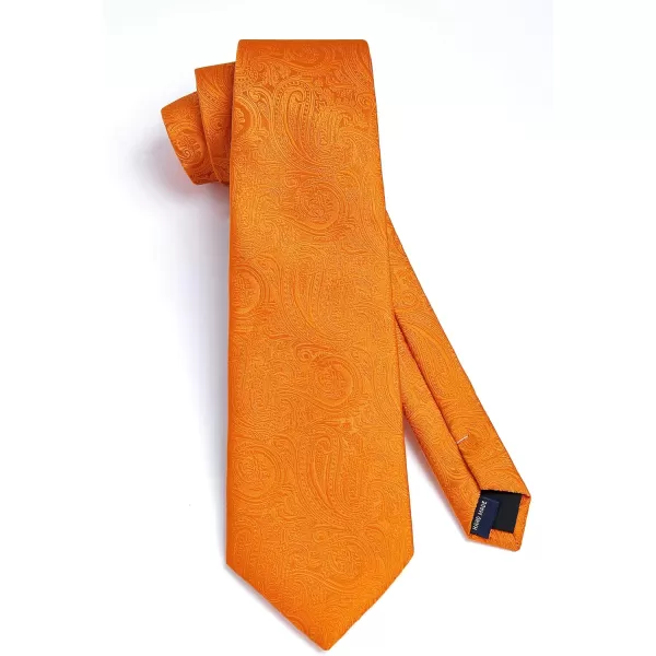 HISDERN Ties for Men Paisley Floral Tie Handkerchief Classic Woven Business Formal Necktie and Pocket Square Set Wedding
