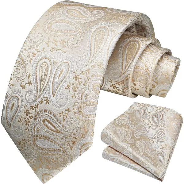 HISDERN Ties for Men Paisley Floral Tie Handkerchief Classic Woven Business Formal Necktie and Pocket Square Set Wedding