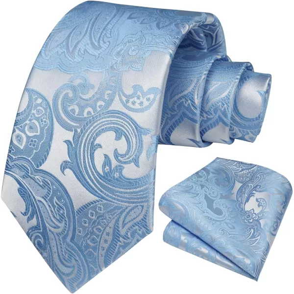 HISDERN Ties for Men Paisley Floral Tie Handkerchief Classic Woven Business Formal Necktie and Pocket Square Set Wedding