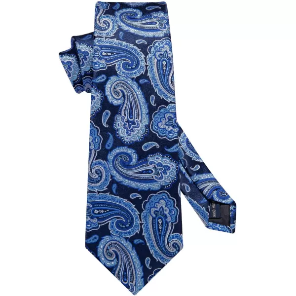HISDERN Ties for Men Paisley Floral Tie Handkerchief Classic Woven Business Formal Necktie and Pocket Square Set Wedding