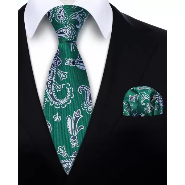 HISDERN Ties for Men Paisley Floral Tie Handkerchief Classic Woven Business Formal Necktie and Pocket Square Set Wedding