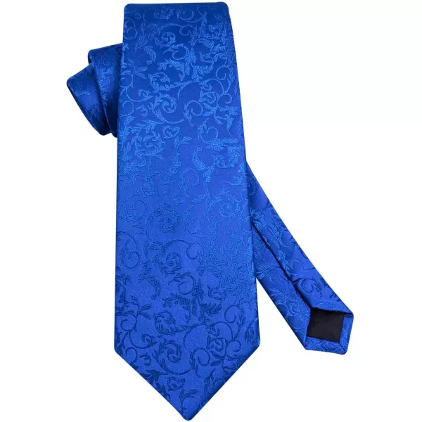HISDERN Ties for Men Paisley Floral Tie Handkerchief Classic Woven Business Formal Necktie and Pocket Square Set Wedding