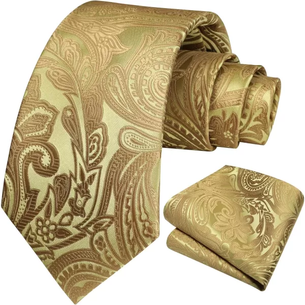 HISDERN Ties for Men Paisley Floral Tie Handkerchief Classic Woven Business Formal Necktie and Pocket Square Set Wedding