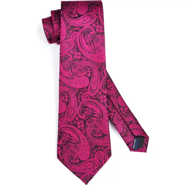 HISDERN Ties for Men Paisley Floral Tie Handkerchief Classic Woven Business Formal Necktie and Pocket Square Set Wedding