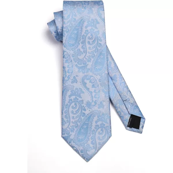 HISDERN Ties for Men Paisley Floral Tie Handkerchief Classic Woven Business Formal Necktie and Pocket Square Set Wedding