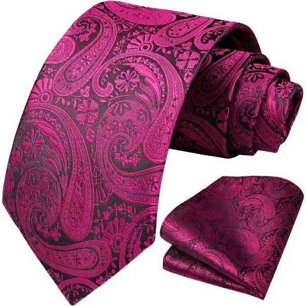 HISDERN Ties for Men Paisley Floral Tie Handkerchief Classic Woven Business Formal Necktie and Pocket Square Set Wedding