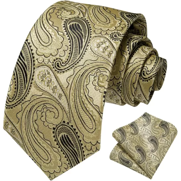 HISDERN Ties for Men Paisley Floral Tie Handkerchief Classic Woven Business Formal Necktie and Pocket Square Set Wedding