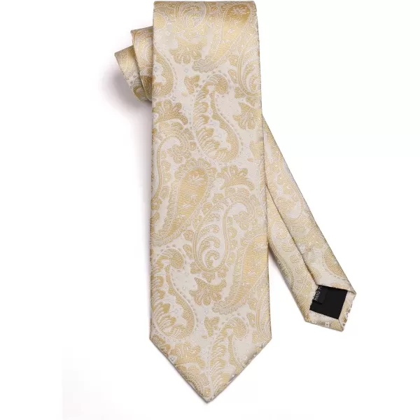 HISDERN Ties for Men Paisley Floral Tie Handkerchief Classic Woven Business Formal Necktie and Pocket Square Set Wedding