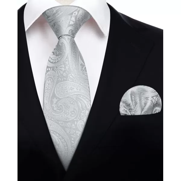 HISDERN Ties for Men Paisley Floral Tie Handkerchief Classic Woven Business Formal Necktie and Pocket Square Set Wedding