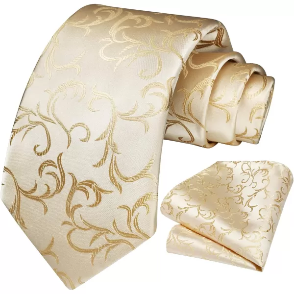 HISDERN Ties for Men Paisley Floral Tie Handkerchief Classic Woven Business Formal Necktie and Pocket Square Set Wedding