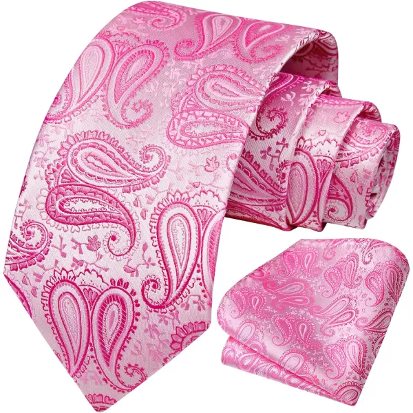 HISDERN Ties for Men Paisley Floral Tie Handkerchief Classic Woven Business Formal Necktie and Pocket Square Set Wedding
