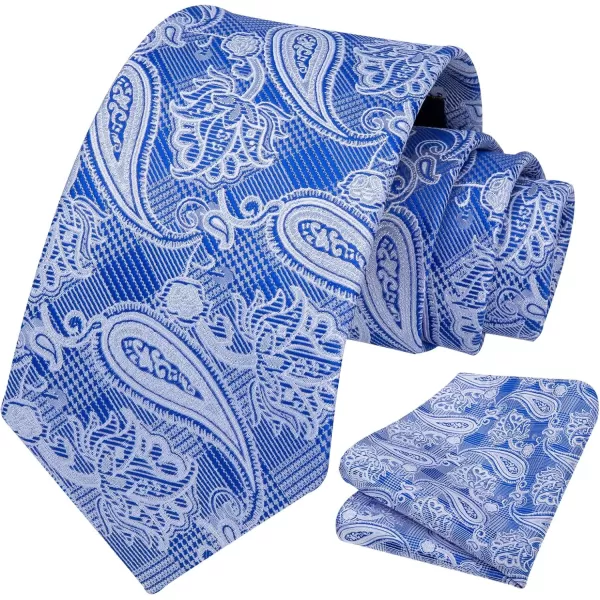 HISDERN Ties for Men Paisley Floral Tie Handkerchief Classic Woven Business Formal Necktie and Pocket Square Set Wedding