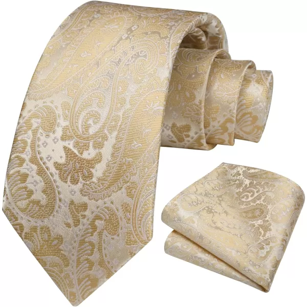 HISDERN Ties for Men Paisley Floral Tie Handkerchief Classic Woven Business Formal Necktie and Pocket Square Set Wedding