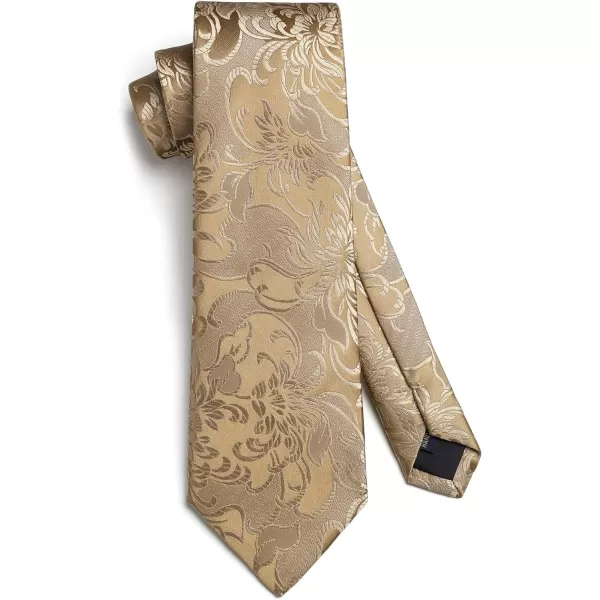 HISDERN Ties for Men Paisley Floral Tie Handkerchief Classic Woven Business Formal Necktie and Pocket Square Set Wedding