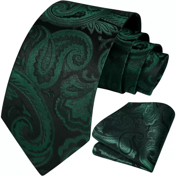 HISDERN Ties for Men Paisley Floral Tie Handkerchief Classic Woven Business Formal Necktie and Pocket Square Set Wedding