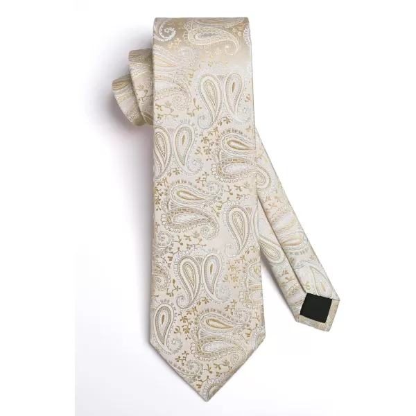 HISDERN Ties for Men Paisley Floral Tie Handkerchief Classic Woven Business Formal Necktie and Pocket Square Set Wedding