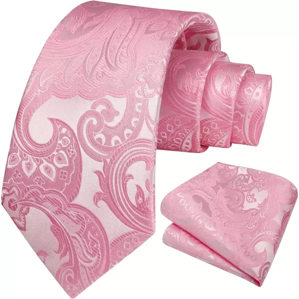 HISDERN Ties for Men Paisley Floral Tie Handkerchief Classic Woven Business Formal Necktie and Pocket Square Set Wedding