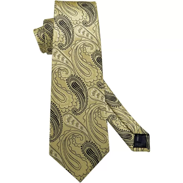 HISDERN Ties for Men Paisley Floral Tie Handkerchief Classic Woven Business Formal Necktie and Pocket Square Set Wedding