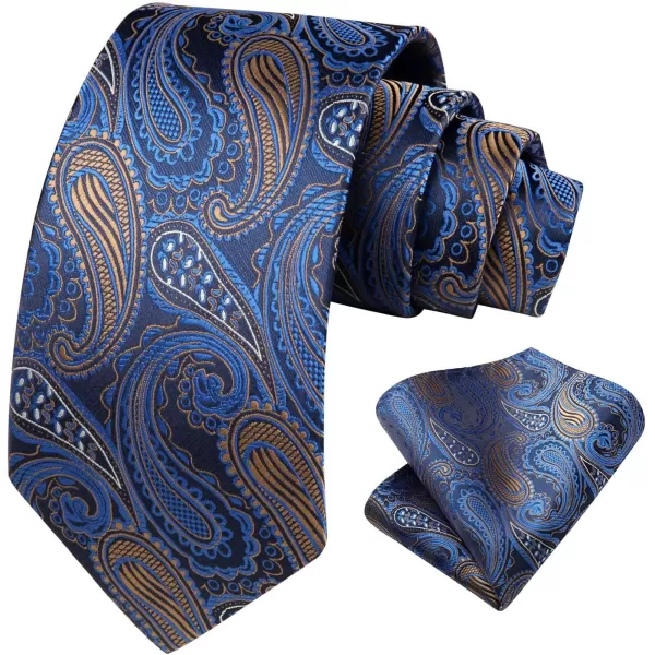 HISDERN Ties for Men Paisley Floral Tie Handkerchief Classic Woven Business Formal Necktie and Pocket Square Set Wedding