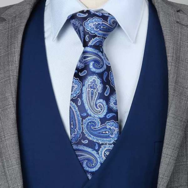 HISDERN Ties for Men Paisley Floral Tie Handkerchief Classic Woven Business Formal Necktie and Pocket Square Set Wedding