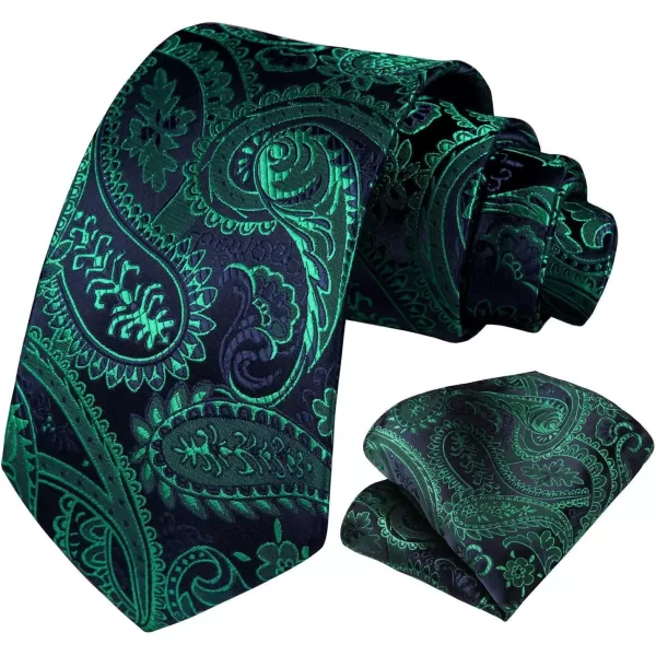HISDERN Ties for Men Paisley Floral Tie Handkerchief Classic Woven Business Formal Necktie and Pocket Square Set Wedding