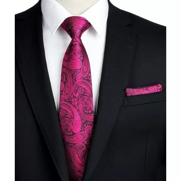 HISDERN Ties for Men Paisley Floral Tie Handkerchief Classic Woven Business Formal Necktie and Pocket Square Set Wedding