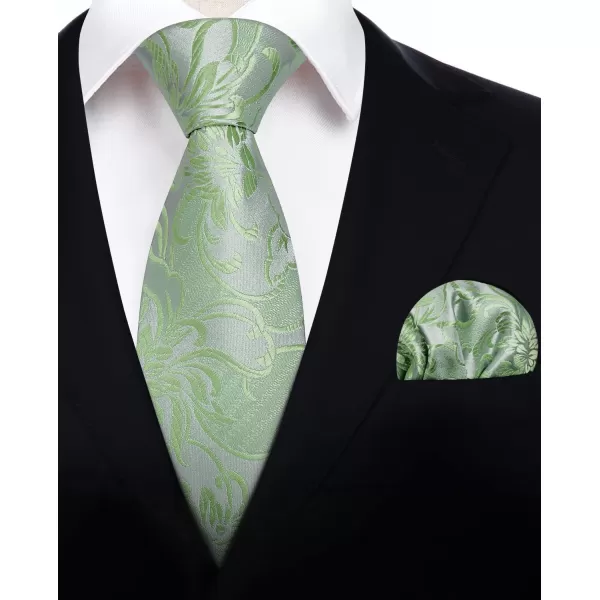 HISDERN Ties for Men Paisley Floral Tie Handkerchief Classic Woven Business Formal Necktie and Pocket Square Set Wedding