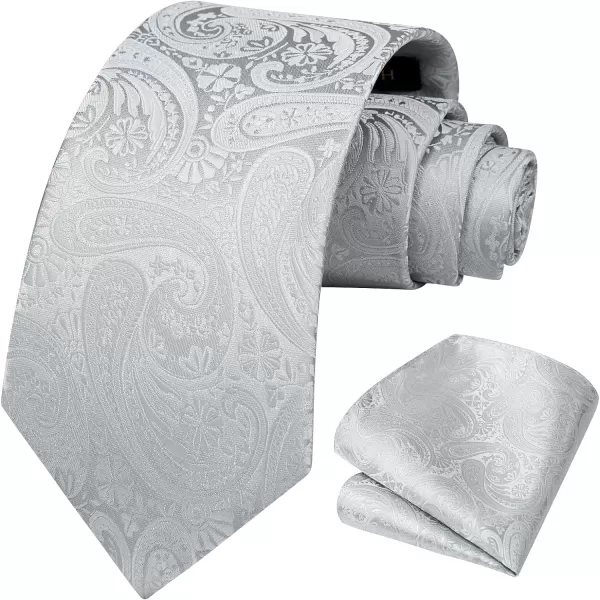 HISDERN Ties for Men Paisley Floral Tie Handkerchief Classic Woven Business Formal Necktie and Pocket Square Set Wedding