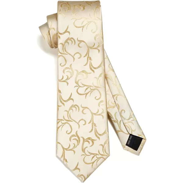 HISDERN Ties for Men Paisley Floral Tie Handkerchief Classic Woven Business Formal Necktie and Pocket Square Set Wedding
