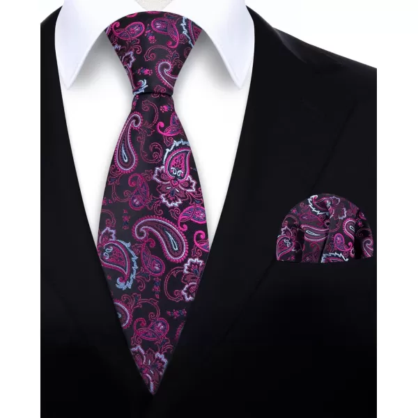 HISDERN Ties for Men Paisley Tie and Pocket Square Woven Classic Floral Mens Ties Handkerchief Set Wedding Party Necktie