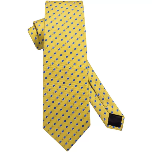 HISDERN Ties for Men Paisley Tie and Pocket Square Woven Classic Floral Mens Ties Handkerchief Set Wedding Party Necktie