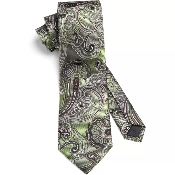 HISDERN Ties for Men Paisley Tie and Pocket Square Woven Classic Floral Mens Ties Handkerchief Set Wedding Party Necktie