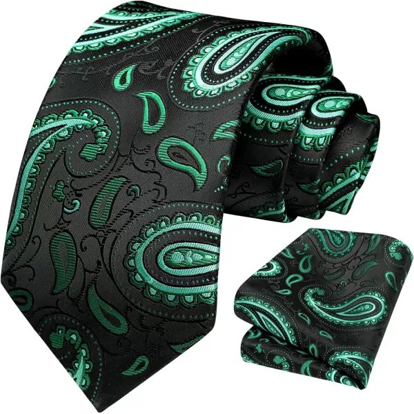 HISDERN Ties for Men Paisley Tie and Pocket Square Woven Classic Floral Mens Ties Handkerchief Set Wedding Party Necktie