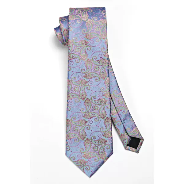 HISDERN Ties for Men Paisley Tie and Pocket Square Woven Classic Floral Mens Ties Handkerchief Set Wedding Party Necktie