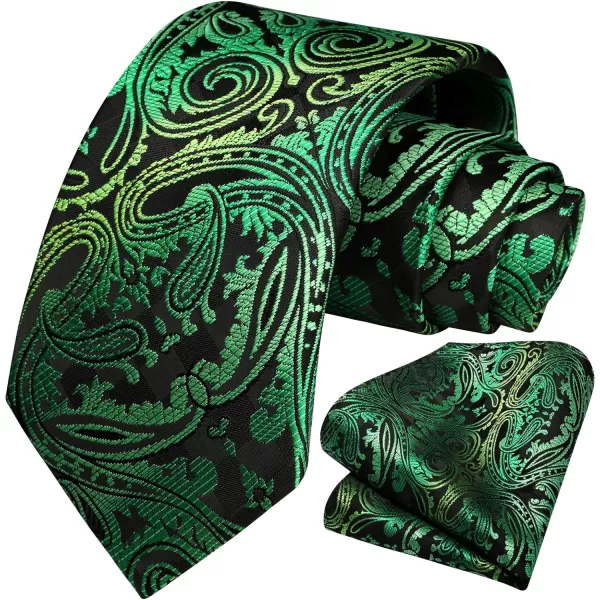 HISDERN Ties for Men Paisley Tie and Pocket Square Woven Classic Floral Mens Ties Handkerchief Set Wedding Party Necktie