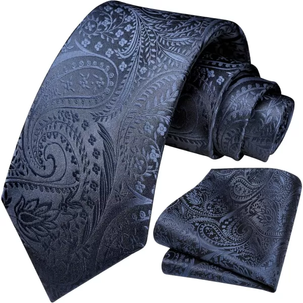 HISDERN Ties for Men Paisley Tie and Pocket Square Woven Classic Floral Mens Ties Handkerchief Set Wedding Party Necktie
